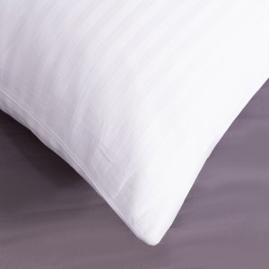 n1cth0365-2